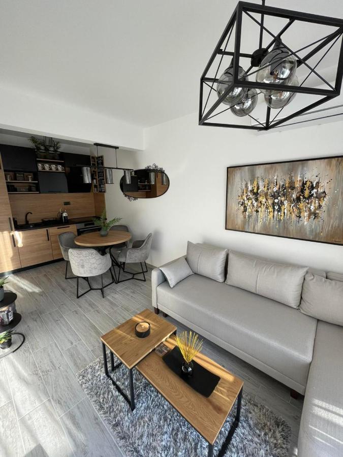 Apartment Blue Berry *